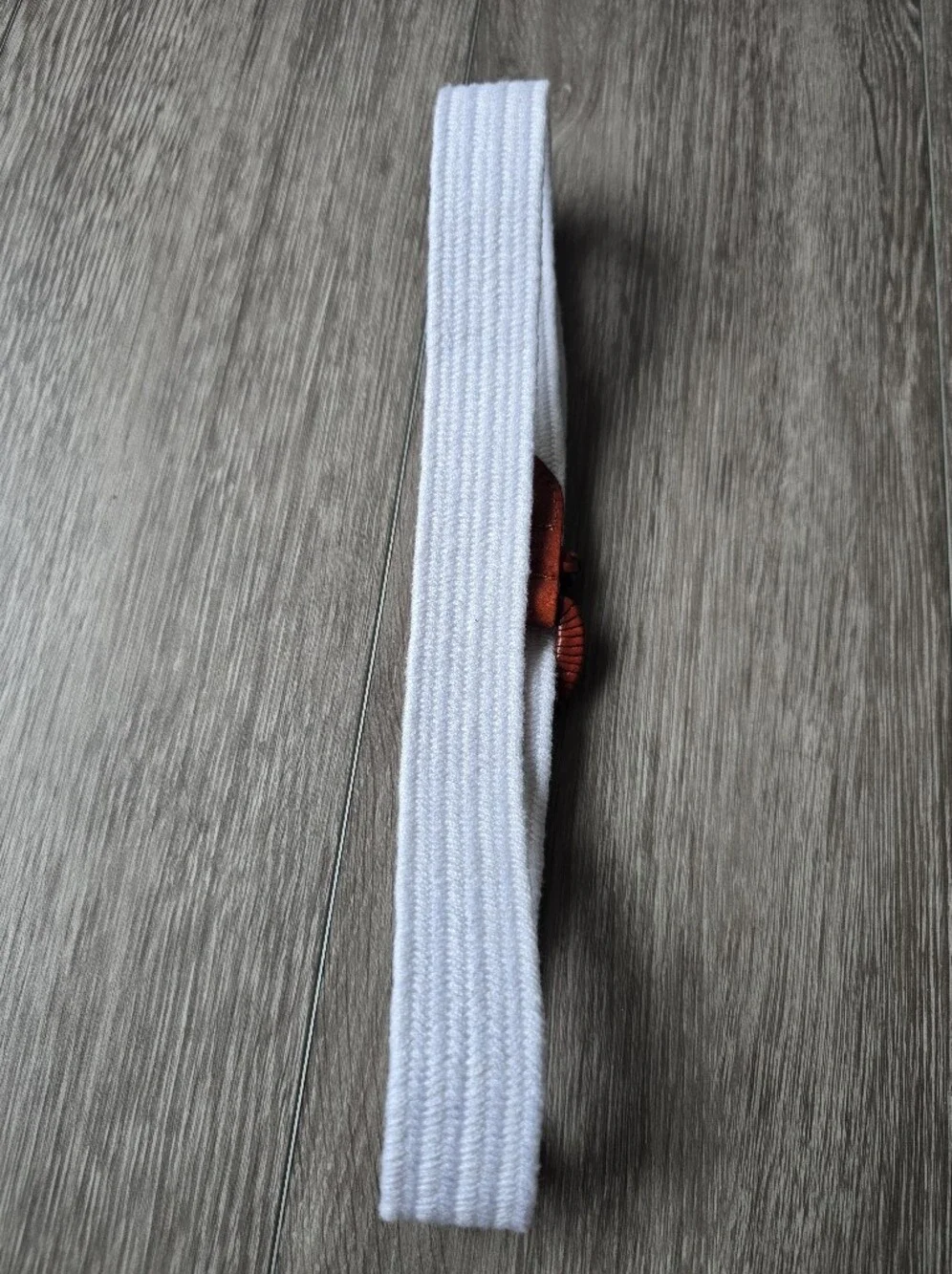 Talbots White Woven Stretch Belt Cognac Leather Round Buckle Preppy Coastal M
